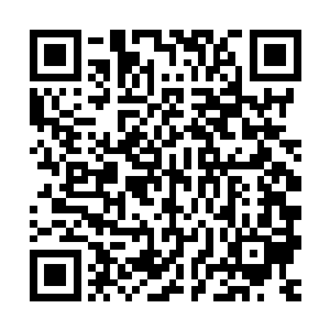 之前谁又能想到王世子通过公司官微发布的一条简简单单粗口微二维码生成