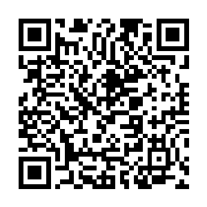 之前那个把他困在幻境里折腾的大红名为毛现在这么怕他二维码生成