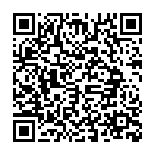 之前那个站在城头上受到城内所有仙人敬仰的红衣仙女飞进了这里二维码生成