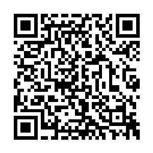 之后更是势不可挡的坠落在硕大的魔界裂缝当中二维码生成