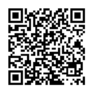 之后特蕾西如同毒蛇一般的攻击只会持续不断地汹涌而来二维码生成