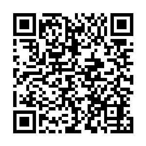 之后罗林就不用指挥诺蒙和格伦特两个战士具体该怎么做了二维码生成