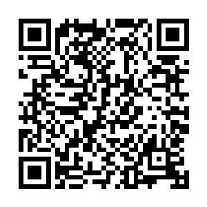 之所以这次我们暮云集团一开始决定和曾家的长林传媒合作二维码生成