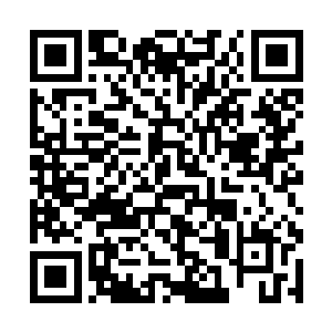 乌山绝逼没想过自己会被娘们一样的名可轻一剑击败二维码生成