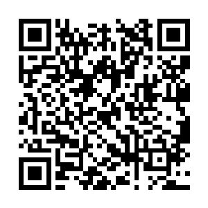 乔斯曼边在笔记本上记录着对影片第一时间的观感二维码生成