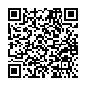 乖乖的把自己的识海敞开给这不知底细的东西住进去呢二维码生成