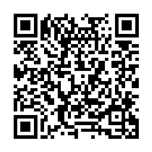 九叶仙草的效果已经在修罗七步杀的时候消耗完了二维码生成