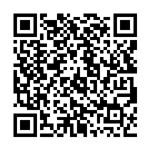 九娥崖前光秃秃的崖壁上满是细细小小却又密密麻麻的抓痕二维码生成