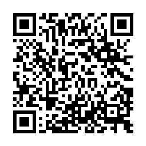 九炼神火羽翼和烈焰神火天簪又是烈焰神凤一族的传承至宝二维码生成