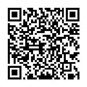 九道光影和南明离火汇聚成的小鸟在虚空中碰撞在一起二维码生成