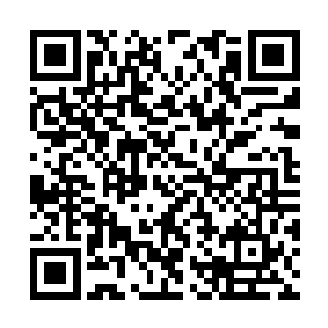 也一样挡不住被那老妇人放出笼子的北莽虎狼之师二维码生成