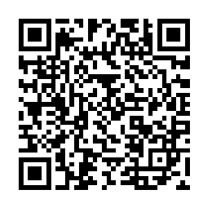 也不代表铁拳军的全军覆没和拳神殿的统治彻底崩溃二维码生成