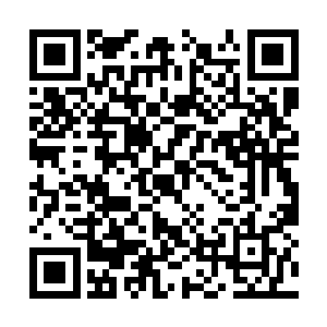 也不会看不出来自己的母后是在故意针对白芷璃了二维码生成