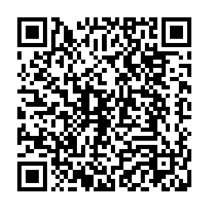 也不再是那个在爱人和父母之间痛苦挣扎却不得不妥协的无奈的侯府世子二维码生成