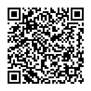 也不可能去请五峰观的人下山办法事的……或许是他们自己猜到了什么二维码生成