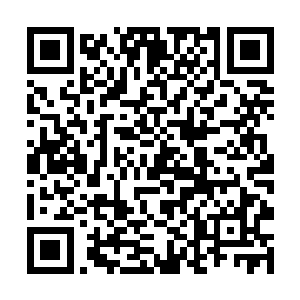 也不可能抵挡得了几十个拿着重型机枪扫射的特种兵二维码生成