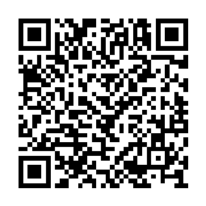 也不得不承认夜染现在的实力已经高出他很多了二维码生成