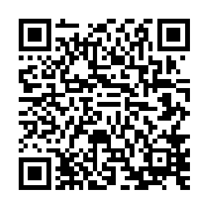 也不敢轻易招惹共济会的人……那么作为共济会尊主的那一位二维码生成