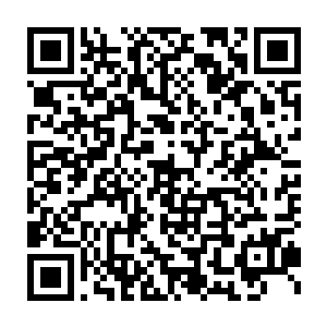 也不曾听说哪位弟子将自己的收获献给师尊――仙农洞府的灵药是规矩二维码生成