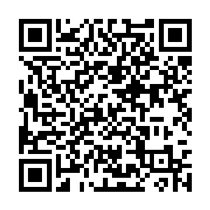 也不枉暗暗记下了魅的名字和她所属古玩店的店名二维码生成