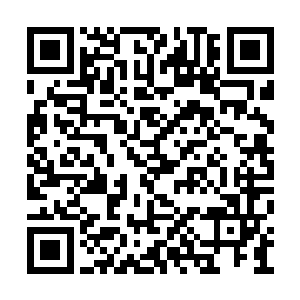 也不理会在一边听得一脸茫然的叶莹和栖霞公主二维码生成