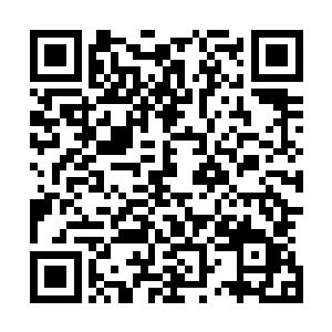 也不看死里逃生又被眼前一幕震惊得一时反应不得的蒋碎嘴二维码生成
