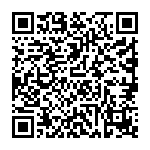 也不知虎神将这天狼族的三长老头颅砸了多少次才会变成这般惨不忍睹的模样二维码生成