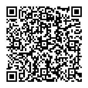也不知道他们什么时候才能寻来………俺不知道大人是在打什么主意…………难道大人也就想在汴梁安享富贵便罢二维码生成