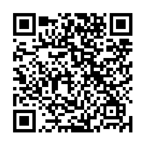 也不知道姚满屯和王玉花两个蠢货是咋生出这样的种了二维码生成