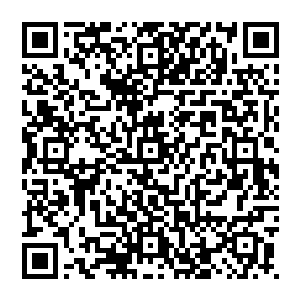 也不知道小学生的真田弦一郎已经同同级的幸村精市和手冢国光已经进行过不像小学生比赛的网球比赛了二维码生成