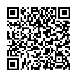 也不知道那逃回去的海龙是不是已经将海龙王身死的消息传回去二维码生成