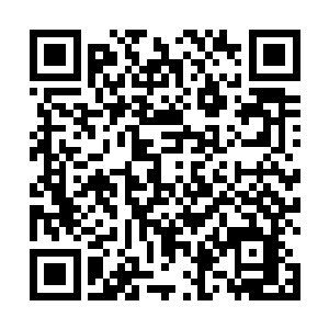 也不知道陌玄上仙是如何愿意收下一位魔修为弟子的呢二维码生成