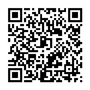 也不管什么楚熏歌和苏叶在不在一起闹不闹绯闻了二维码生成