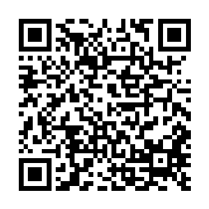 也不管那两个人是死是活的就把人当棍子一样的甩动起来二维码生成