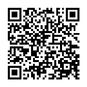 也不至于无聊到一个人大深夜的在林中自言自语的二维码生成