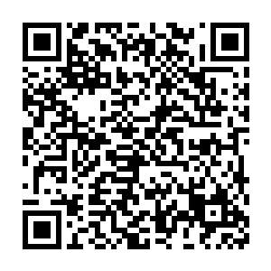 也不过是为了找到一个能帮自己扛过九九重劫顺利飞升的法宝罢了二维码生成