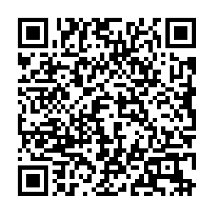也不过是相当于一百人民币的一万书币而已来就没有收到过如此巨额的打赏二维码生成