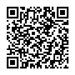 也令这些弟子本来就激动的神色变得更加的激动不已二维码生成