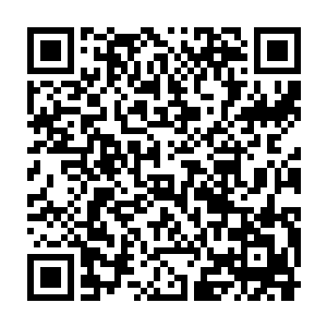 也会想说不定他们总会长大成为某个自己并不知道的人生故事的主人公二维码生成