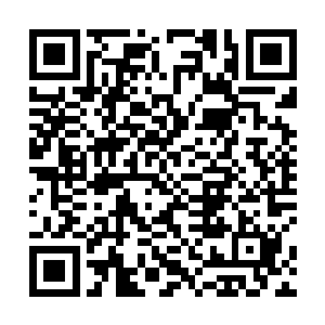 也会有一席之地吧那我们是不是就可以现在返回家族了二维码生成
