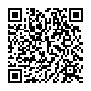 也只有像杨戬这种有恐怖的世界之力加持的人才会如此的轻松二维码生成