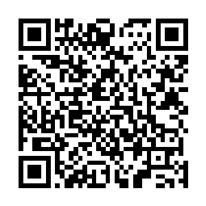 也只有这种方法才能制造大量的死亡而不会惹来任何麻烦二维码生成