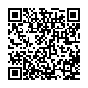 也只能养养花种种草钓钓鱼享受儿孙满尝的天伦之乐――可是二维码生成