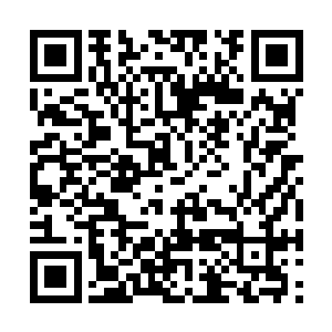 也可以在一定程度上控制罪海城最重要的湛蓝护罩二维码生成