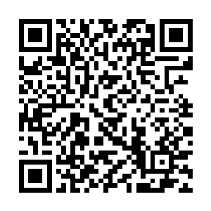 也可以直接拨打瑞士联合银行的vip客户服务部门咨询二维码生成