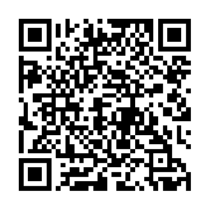 也吃不消的……毕竟他面对的可是四只实力可怕的僵尸二维码生成
