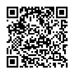 也同样找到了大规模养殖海葵海马黑魔虾的办法二维码生成