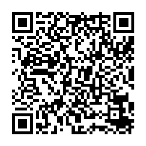 也同样让李无花惊骇不已的……他知道秦方懂得某种奇异的火焰秘术二维码生成