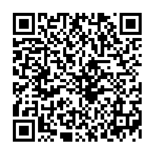 也大体知道芯片之前扫描到一直萦绕在巫师周围的防御力场是怎么回事了二维码生成