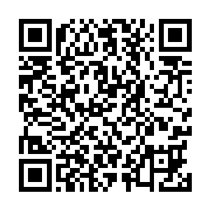 也完全是因为他已经接受了救人一命胜造七级浮屠的想法二维码生成